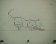 Animation line tests